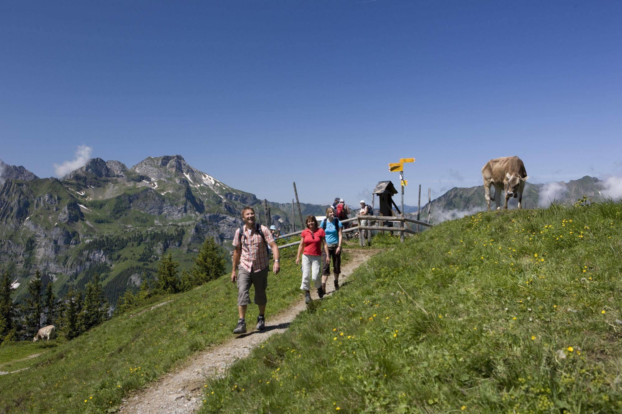 Berglodge Restaurant Ristis Engelberg Eksteriør bilde